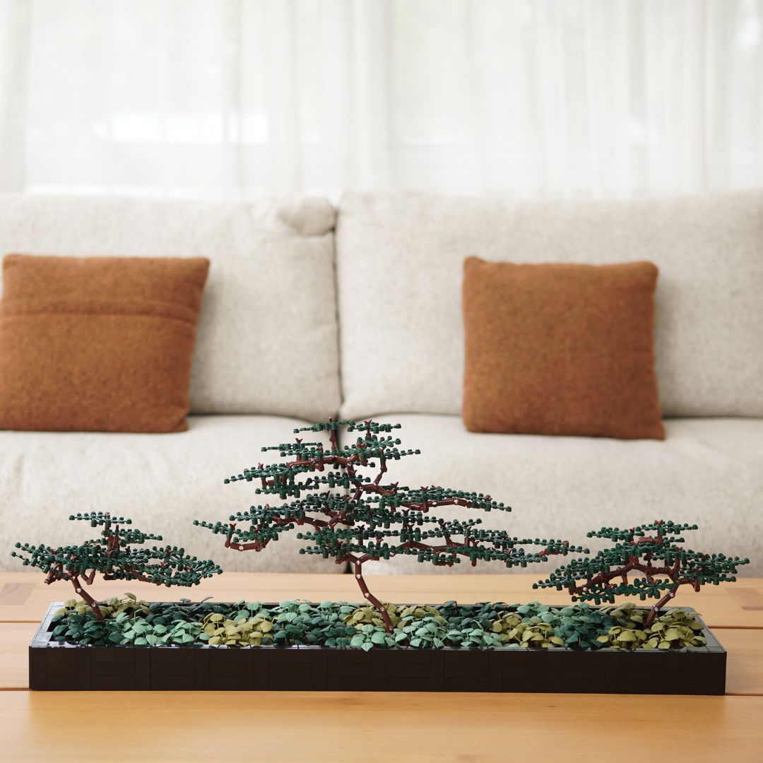 bonsai tree in room Bonsai Forest – Modern Brick Haus