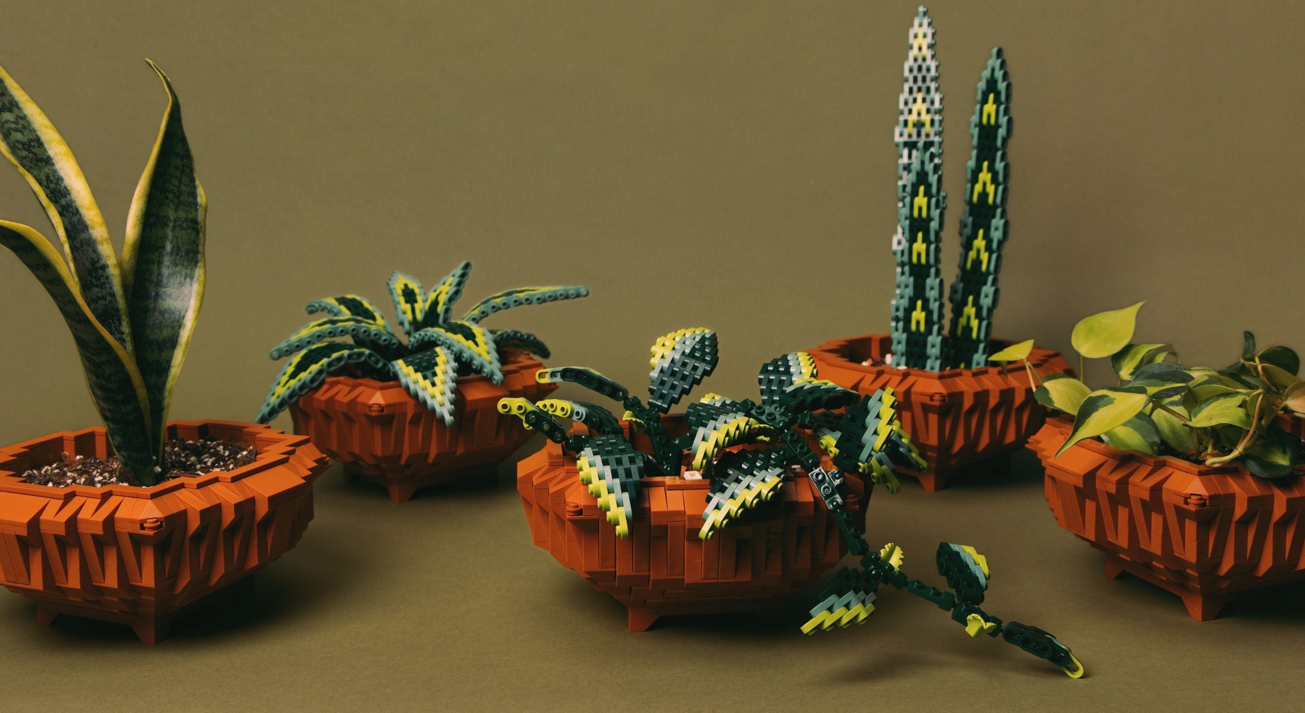 Pothos brick building kit for plant lovers and LEGO-style hobby builders