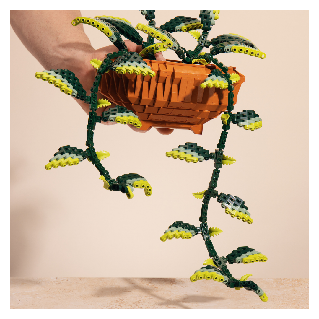 Pothos brick building kit for plant lovers and LEGO-style hobby builders
