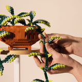 Pothos Vines Extension Add On