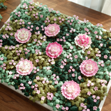 Sunflower Flower Pack