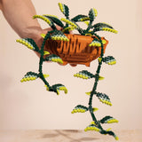 Builder's Pothos