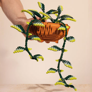 Builder's Pothos