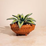 Builder's Pothos