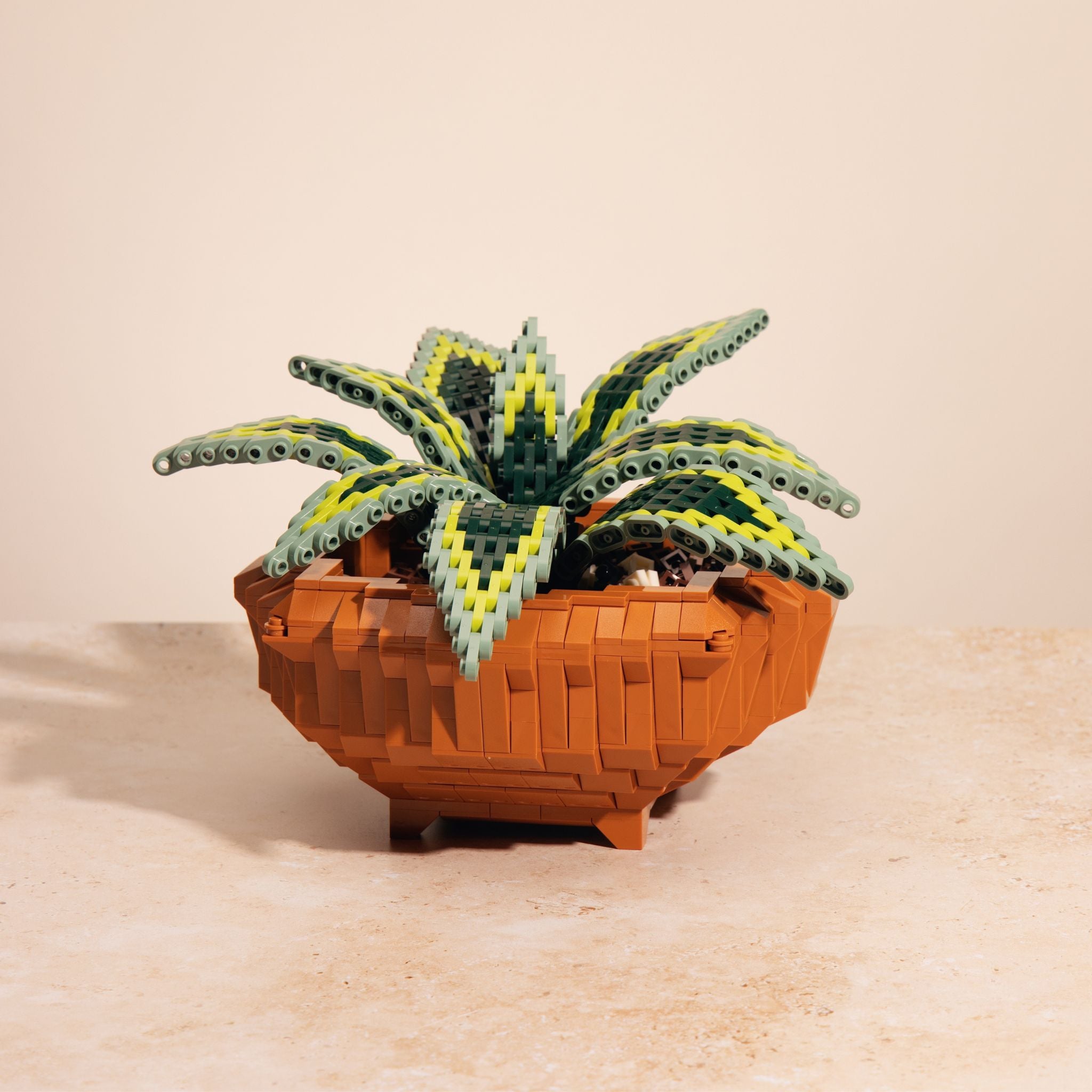 pothos terracotta pot Builder's Pothos – Modern Brick Haus