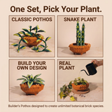 Builder's Pothos