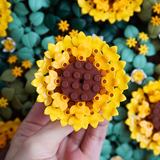 Sunflower Flower Pack