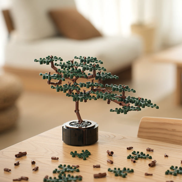 Builder's Bonsai (Evergreen)