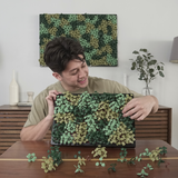 Moss Garden