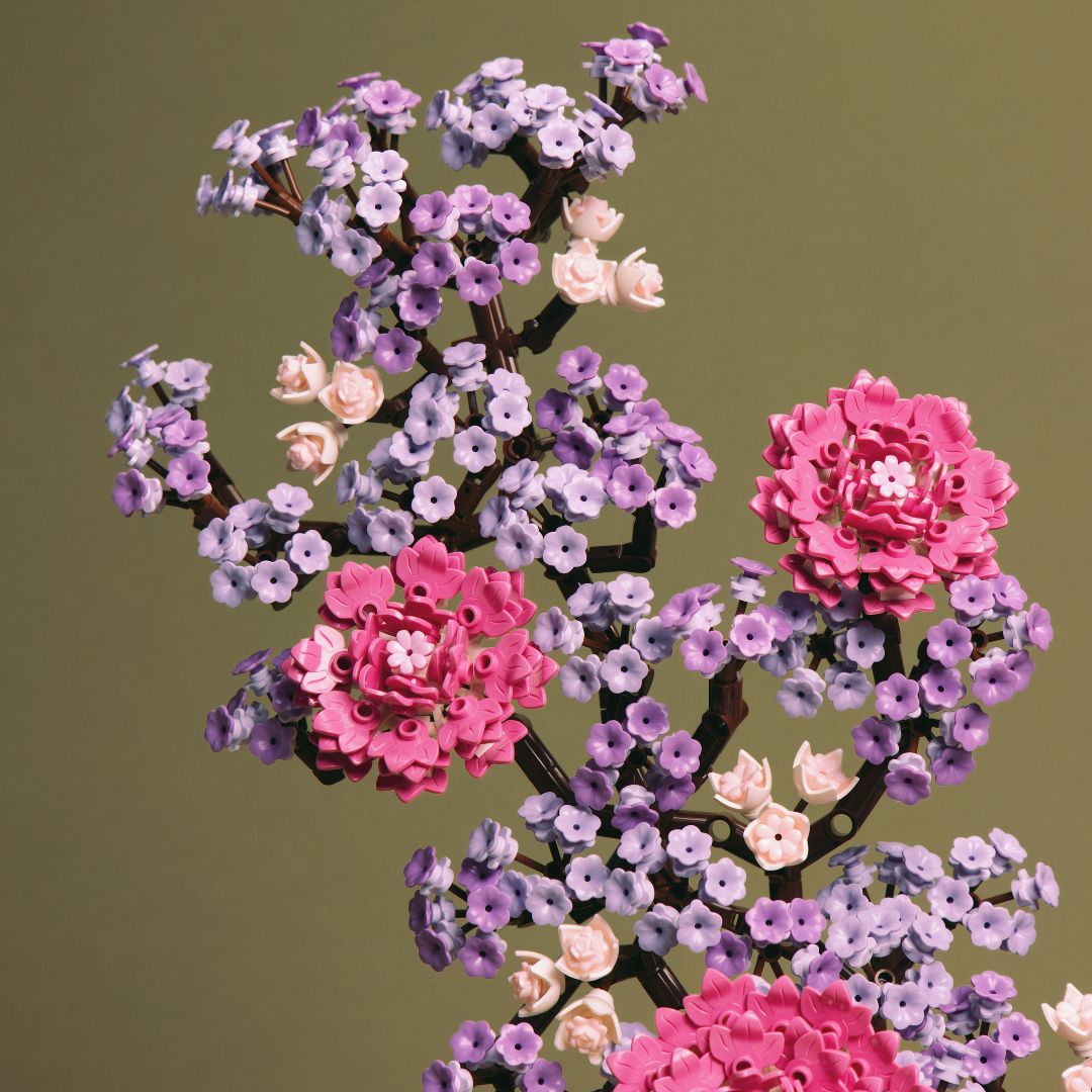 Sakura Bonsai