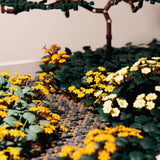 Bonsai Meadow (M)