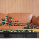 Bonsai Forest