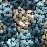 Moss Addition Pack