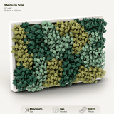 Moss Garden
