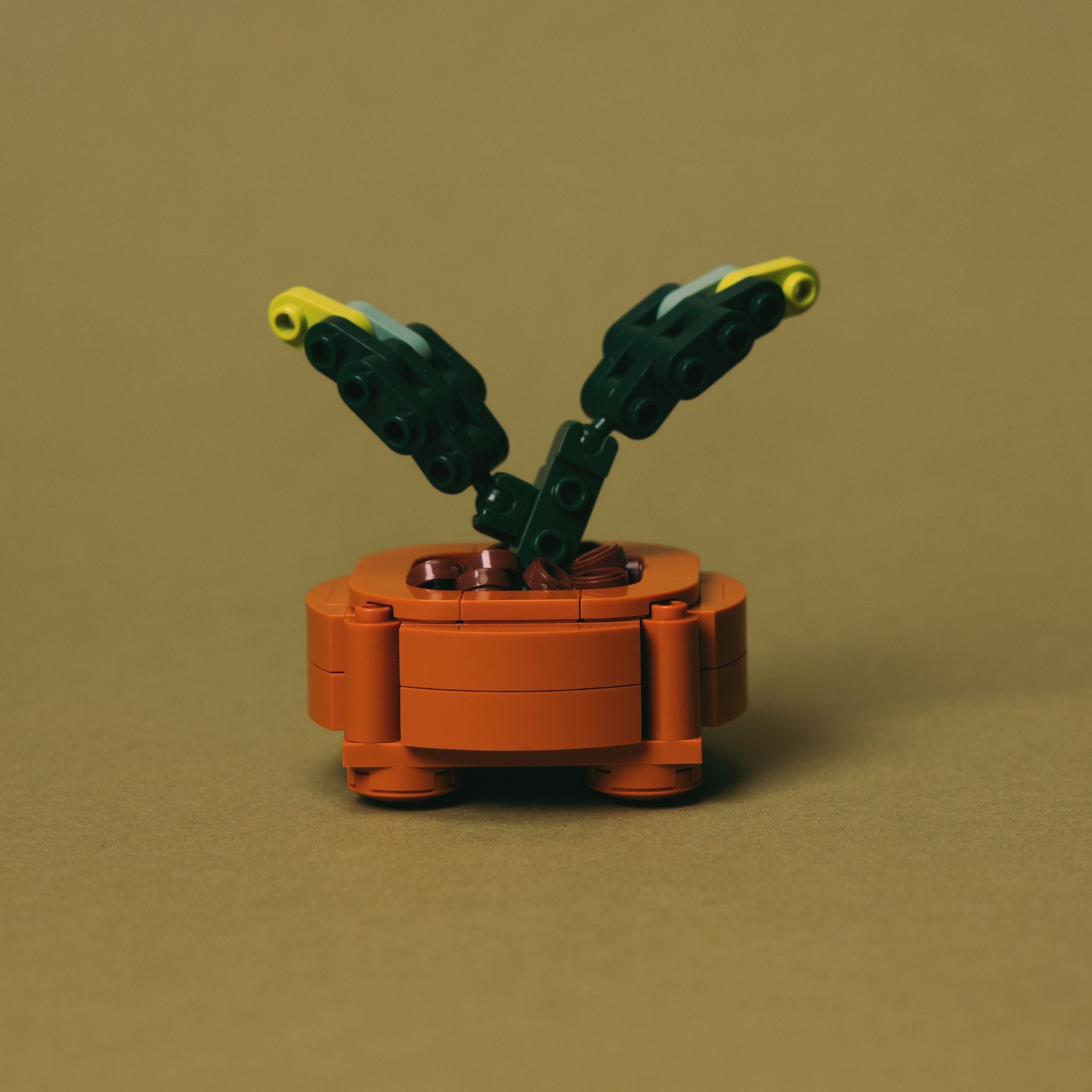 FREE GIFT Propagation Pot POTHOS PROMO