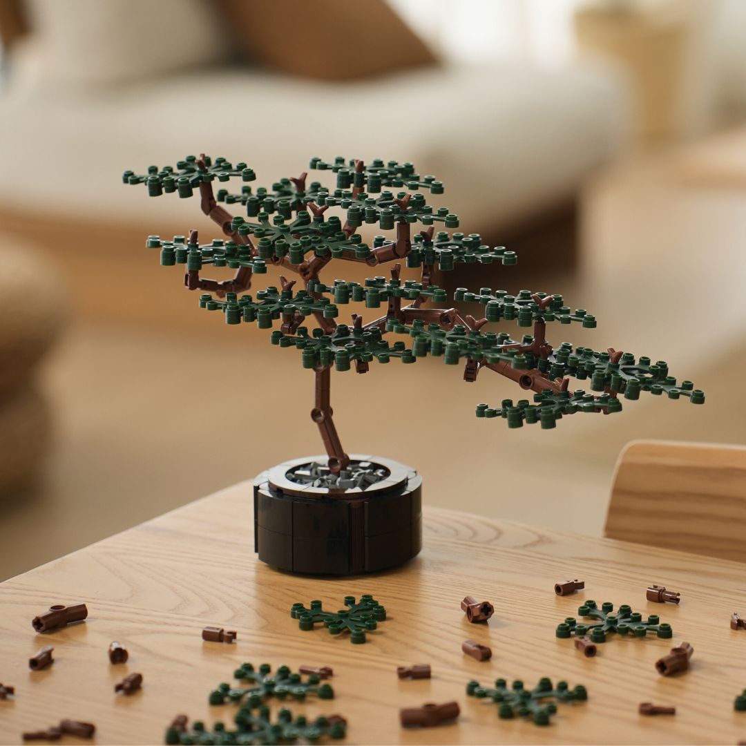 bonsai picture email.jpg