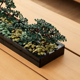 Builder's Bonsai (Evergreen)
