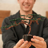 Builder's Bonsai (Evergreen)