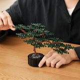 Builder's Bonsai (Evergreen)