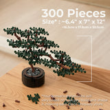 Builder's Bonsai (Evergreen)