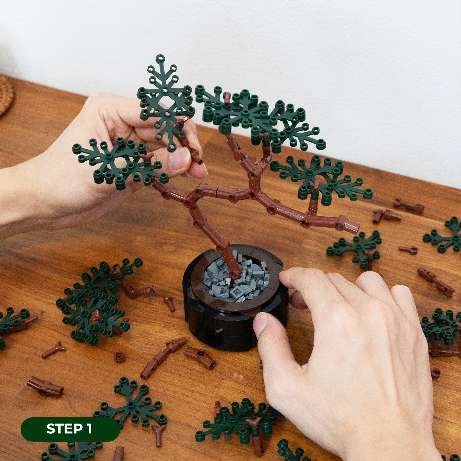 Builder's Bonsai (Evergreen) – Modern Brick Haus