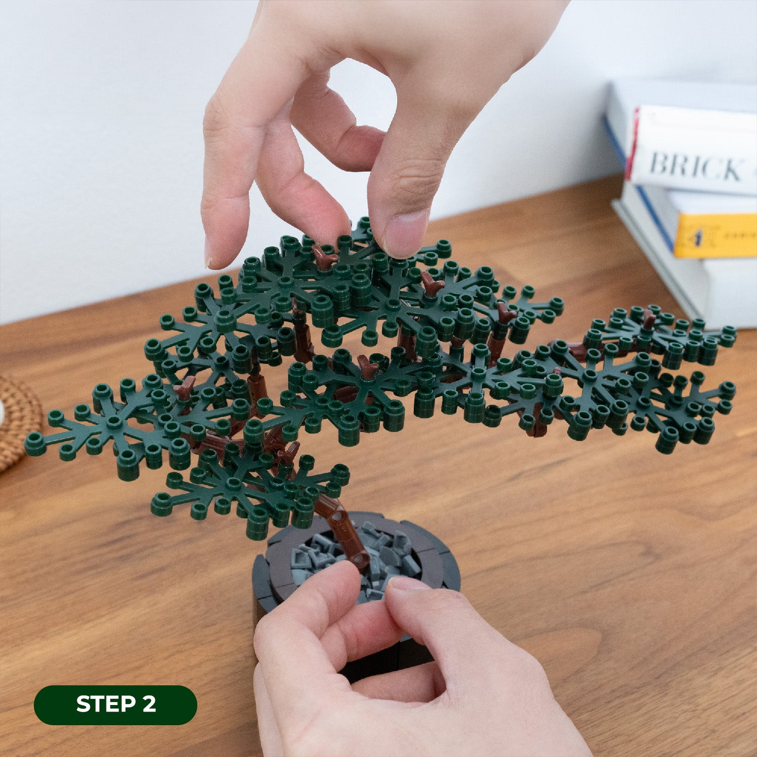 Builder's Bonsai (Evergreen) – Modern Brick Haus