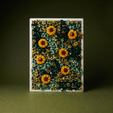Sunflower Moss Garden