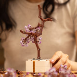 Builder's Bonsai (Lavender)